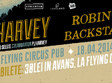 mick harvey si robin and the backstabbers la cluj napoca