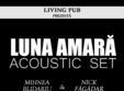 mihnea nick luna amara acoustic set