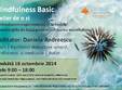 mindfulness basic atelier de o zi cu daniela andreescu