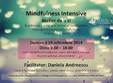 mindfulness intensive atelier de o zi cu daniela andreescu