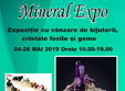 mineral expo brasov 2019 