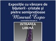 mineral expo