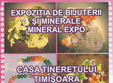 mineral expo timisoara stralucire in orasul de pe bega