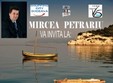 mircea petrariu peisaj digital
