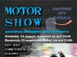 motor show