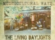 multicultural ways 8 in irish music pub