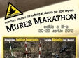 mures marathon editia iii