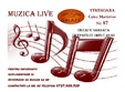 muzica live