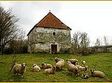 muzica si voie buna la stremt 