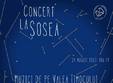 muzici de pe valea timocului concert la sosea