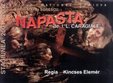  napasta la teatrul national marin sorescu craiova