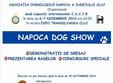 napoca dog show