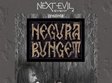 negura bunget constanta