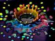 newsletter seeds for happiness 3 9 decembrie 2012