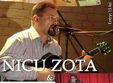 nicu zota fox studis in the artist studio