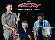 nightlosers in nerv
