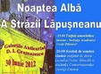 noaptea alba a strazii lapusneanu in iasi