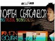 noaptea cearcanelor