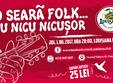 o seara de folk cu nicu nicusor