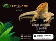 ateliere copii totul despre oparle reptiland bucure ti 