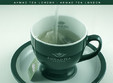 oana togoe in ahmad tea house