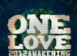 poze one love 2012 awakening