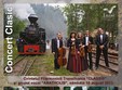 poze orchestra din padure pe valea vaserului