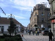ovitim expo 2011