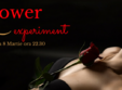 ower experiment 8 martie in embargo