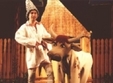 pacala 