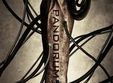 pandorum