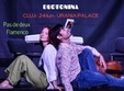  pas de deux flamenco live in cluj