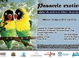 pasarele exotice