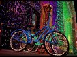 pedalare pentru terra in arad