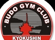 poze performanta pe linie la budo gym club