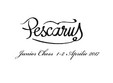 pescarus junior chess editia a iia