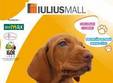 pet show la iulius mall