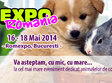 petexpo romania