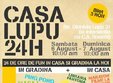 petrecere la casa lupu