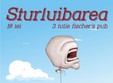 petrecere sturluibarea deva