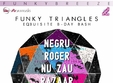 petrecerea funky triangles la funky breeze herastrau