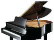 piano live cu aminda roje