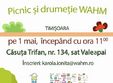 picnic i drume ie wahm timi oara