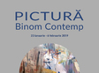 pictura binom contemp