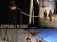 piesa de teatru asteptandu l pe godot la sibiu