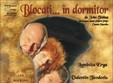 piesa de teatru blocati in dormitor la teatrul nottara