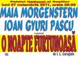 piesa de teatru o noapte furtunoasa la palatul national al copiilor