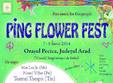 ping flower fest la arad