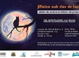 pisica sub clar de luna