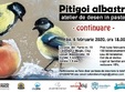 pitigoi albastri